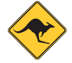 Broome Skippycoin ICG
